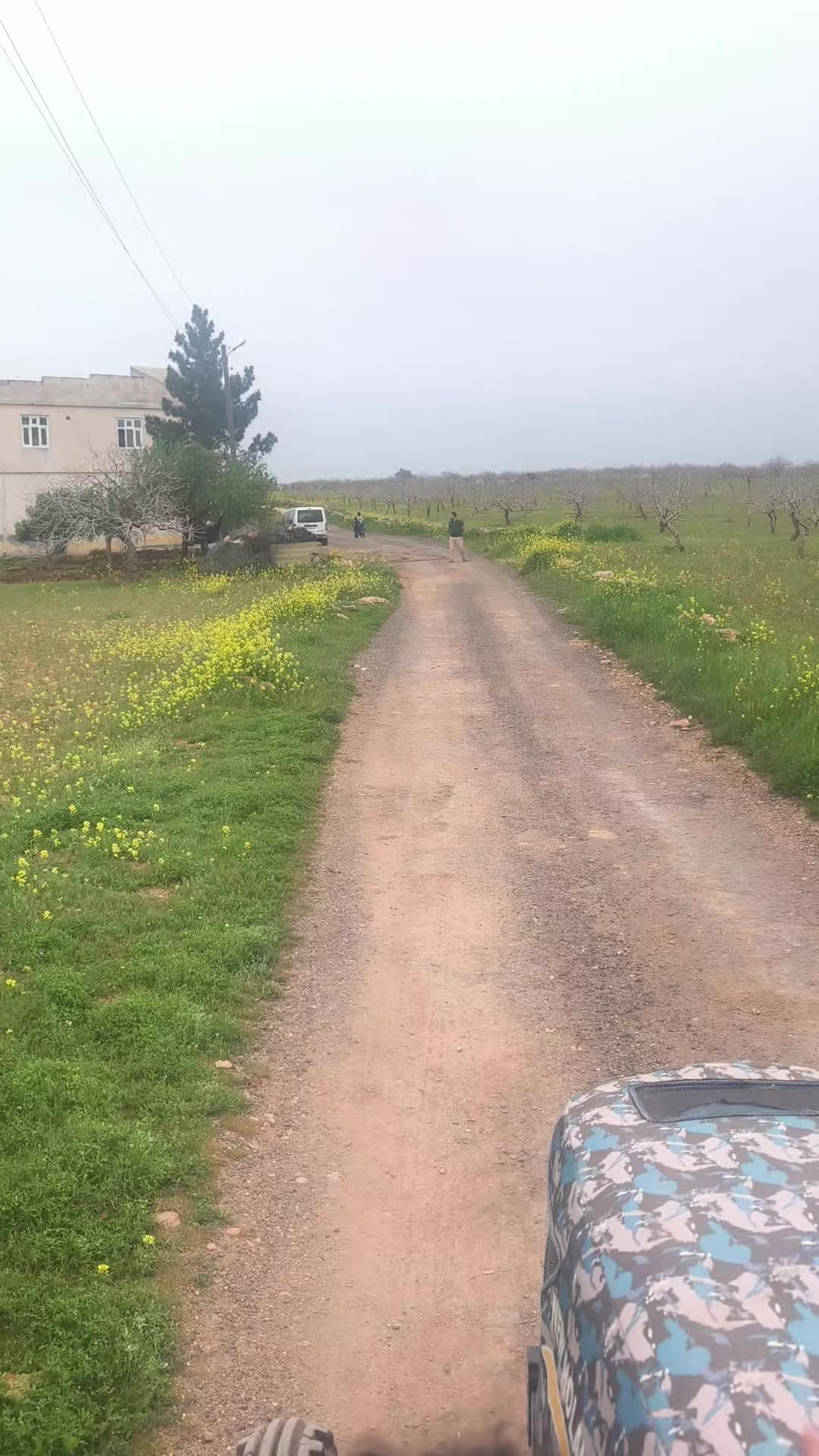 @Mehmet Bayraktar