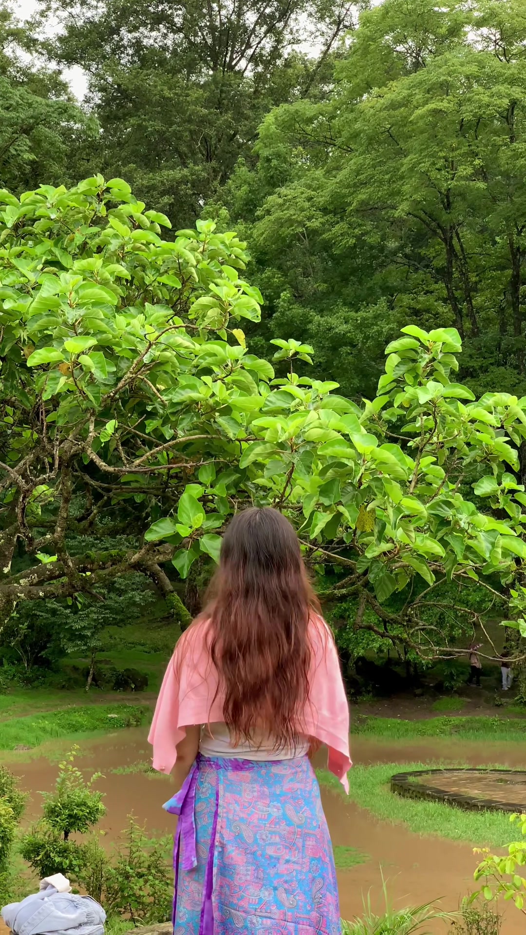 @️प्रीति मोक्तान🦋