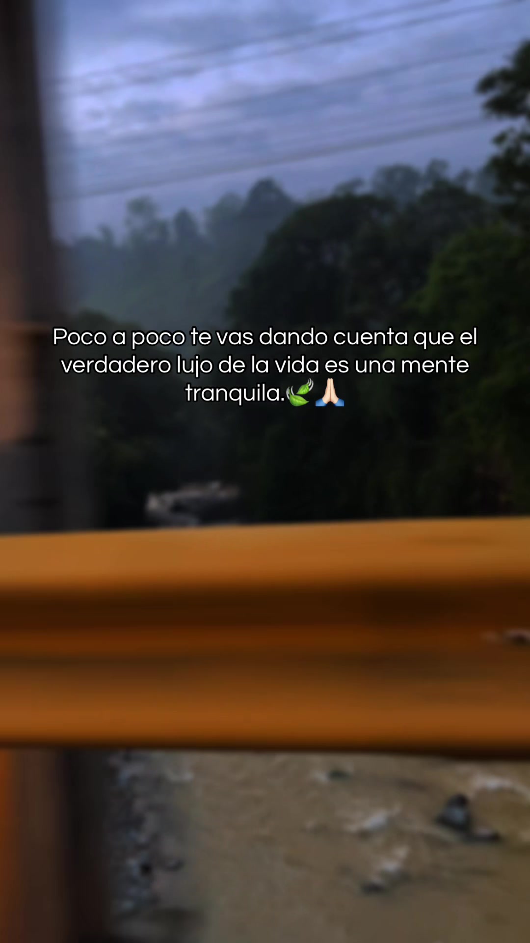 @Silvia Varela