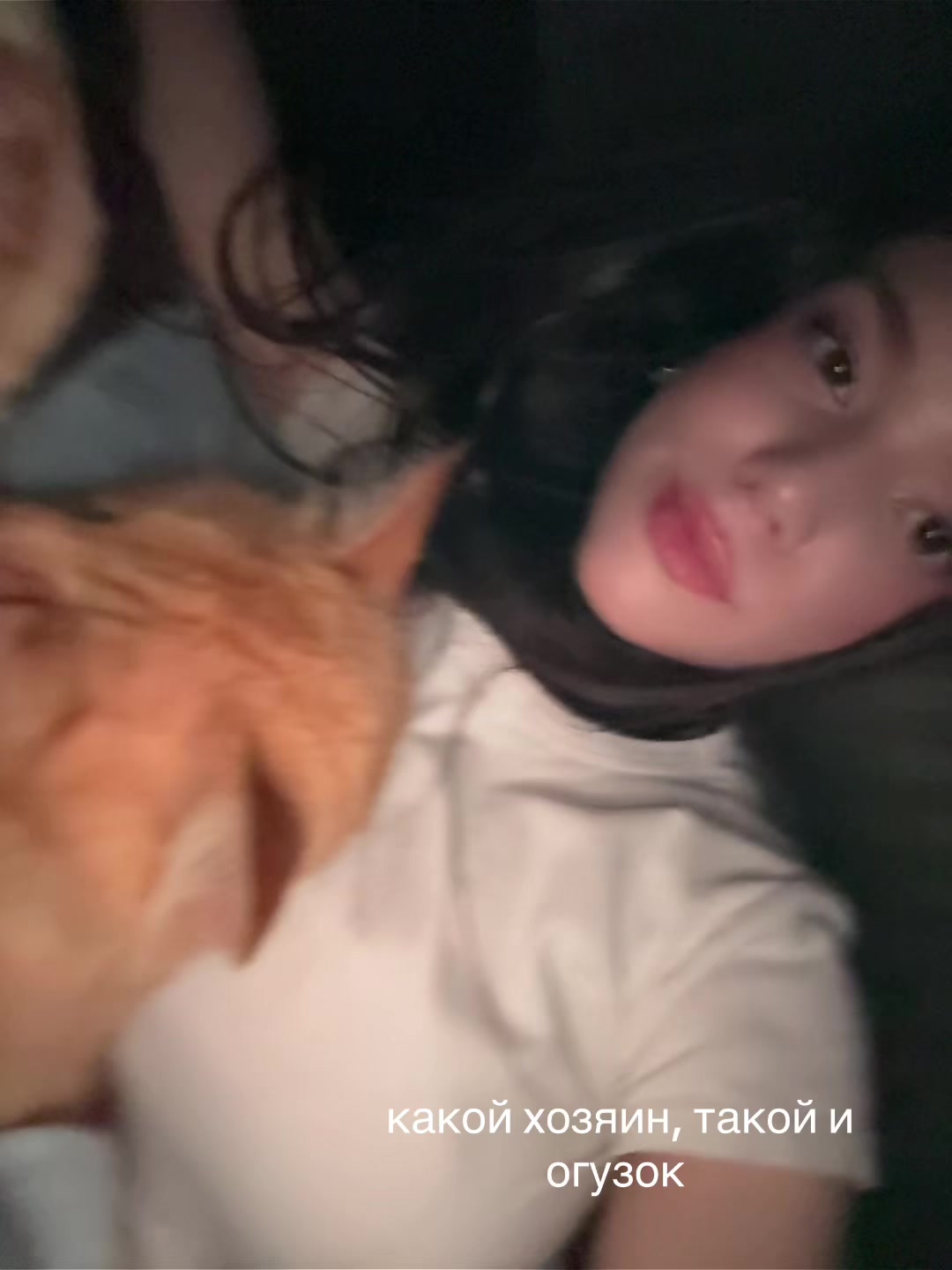 @милан.🐾