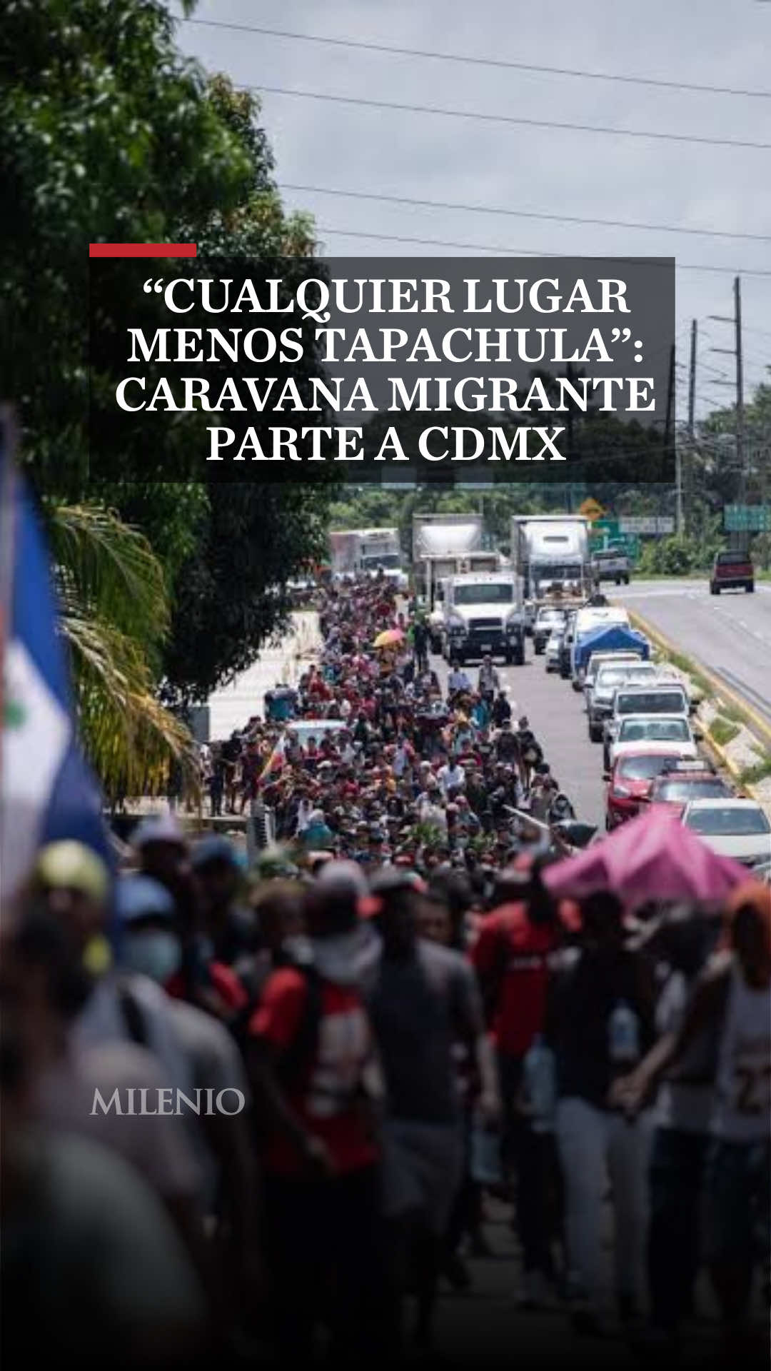 @MILENIO
