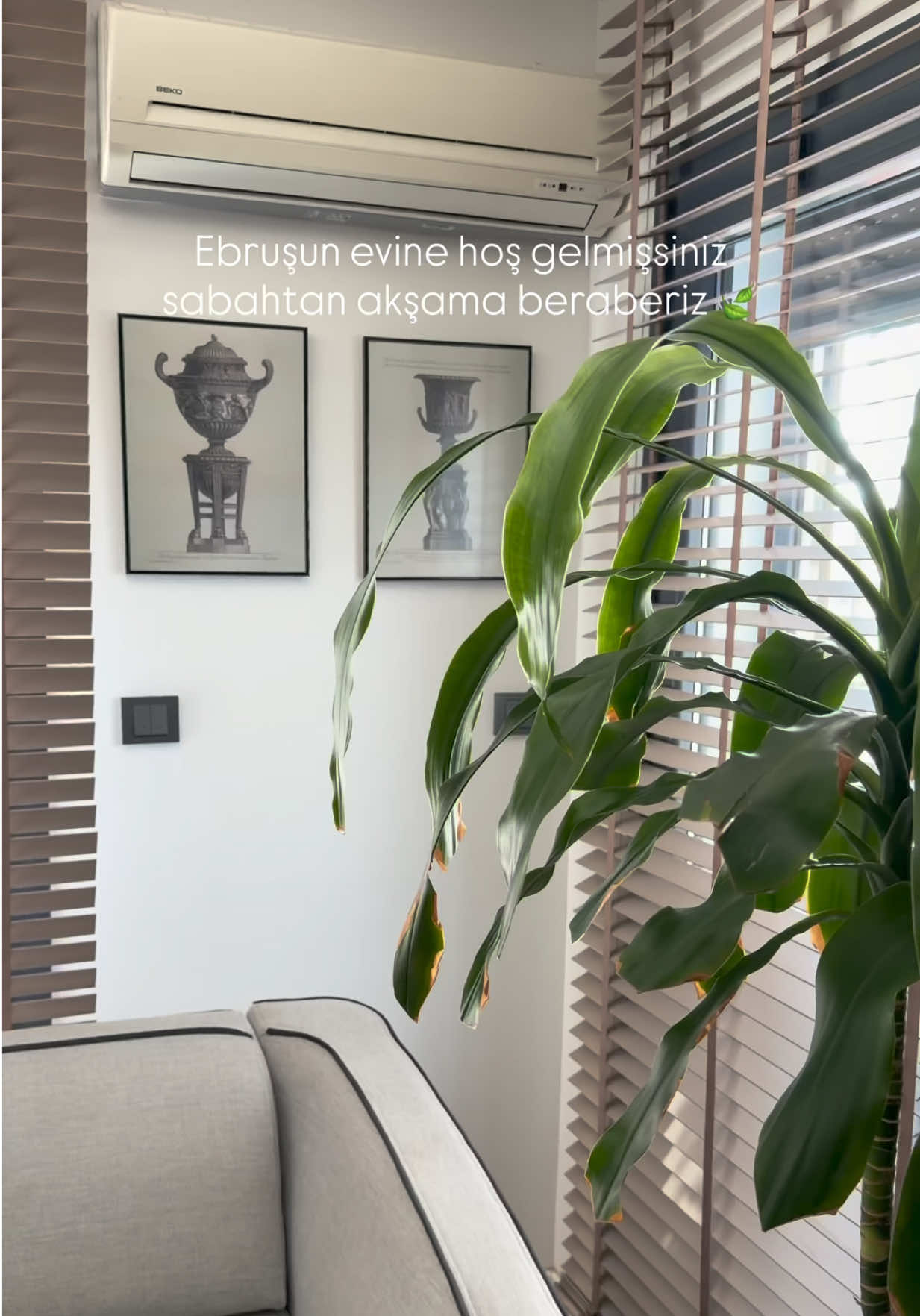 @ebru gümüştekin
