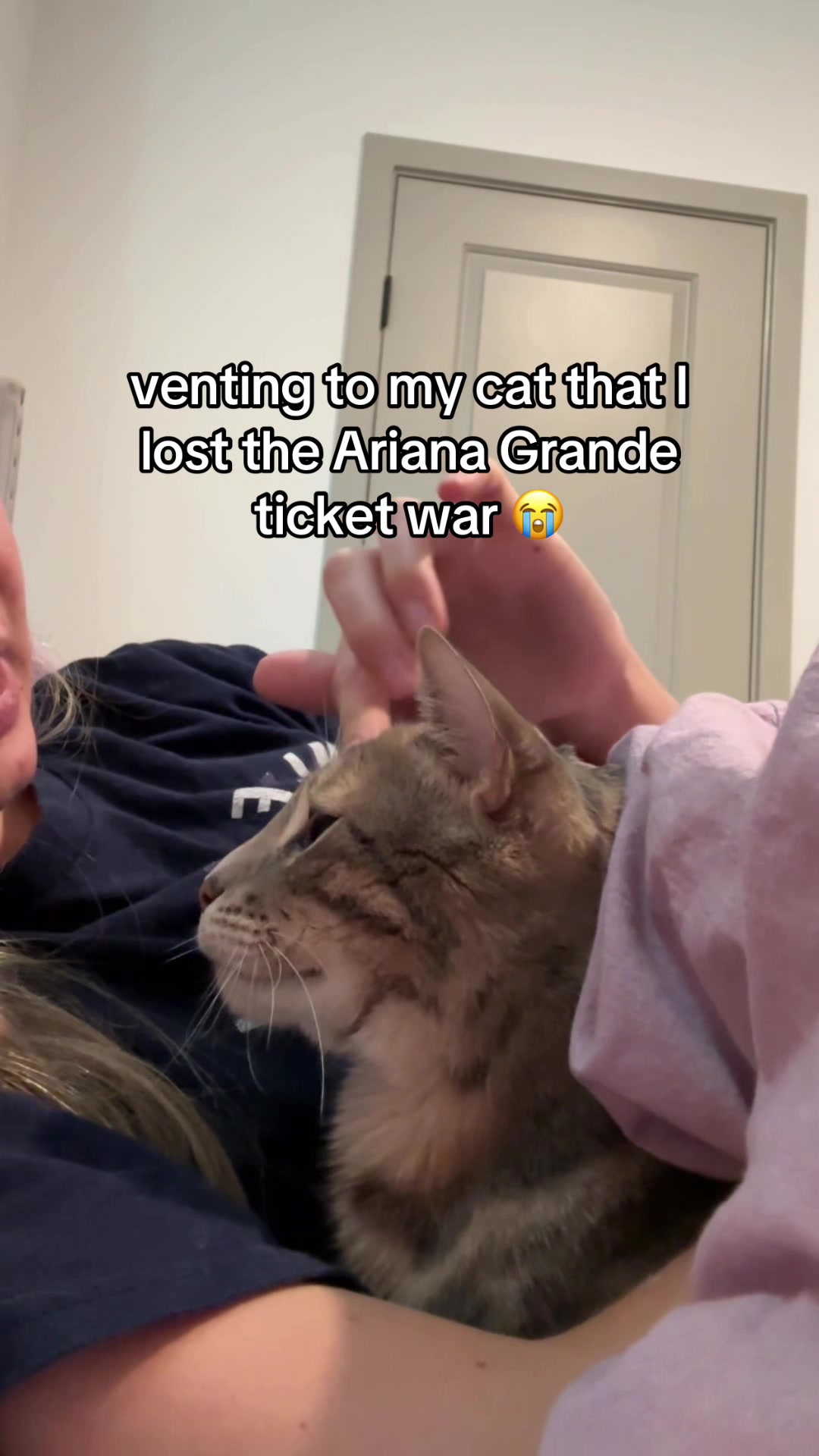 @Mochi the Bengal