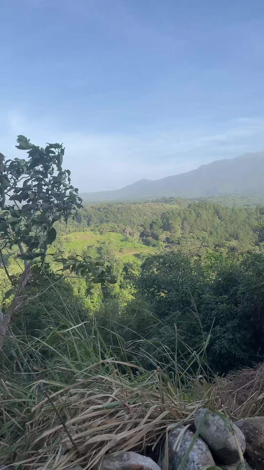 @Made in Panamá 🇵🇦