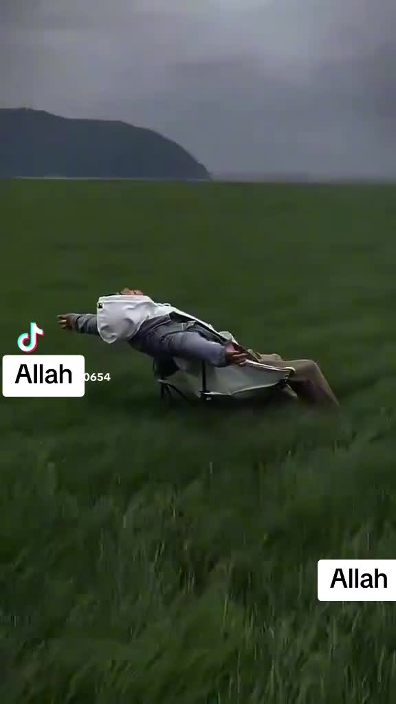 @Syeda Mujahid