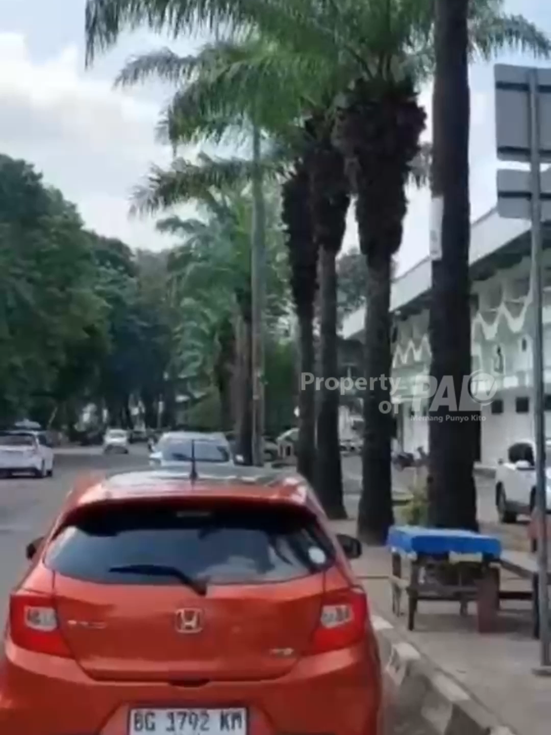 @Paltv-Memang Punyo Kito