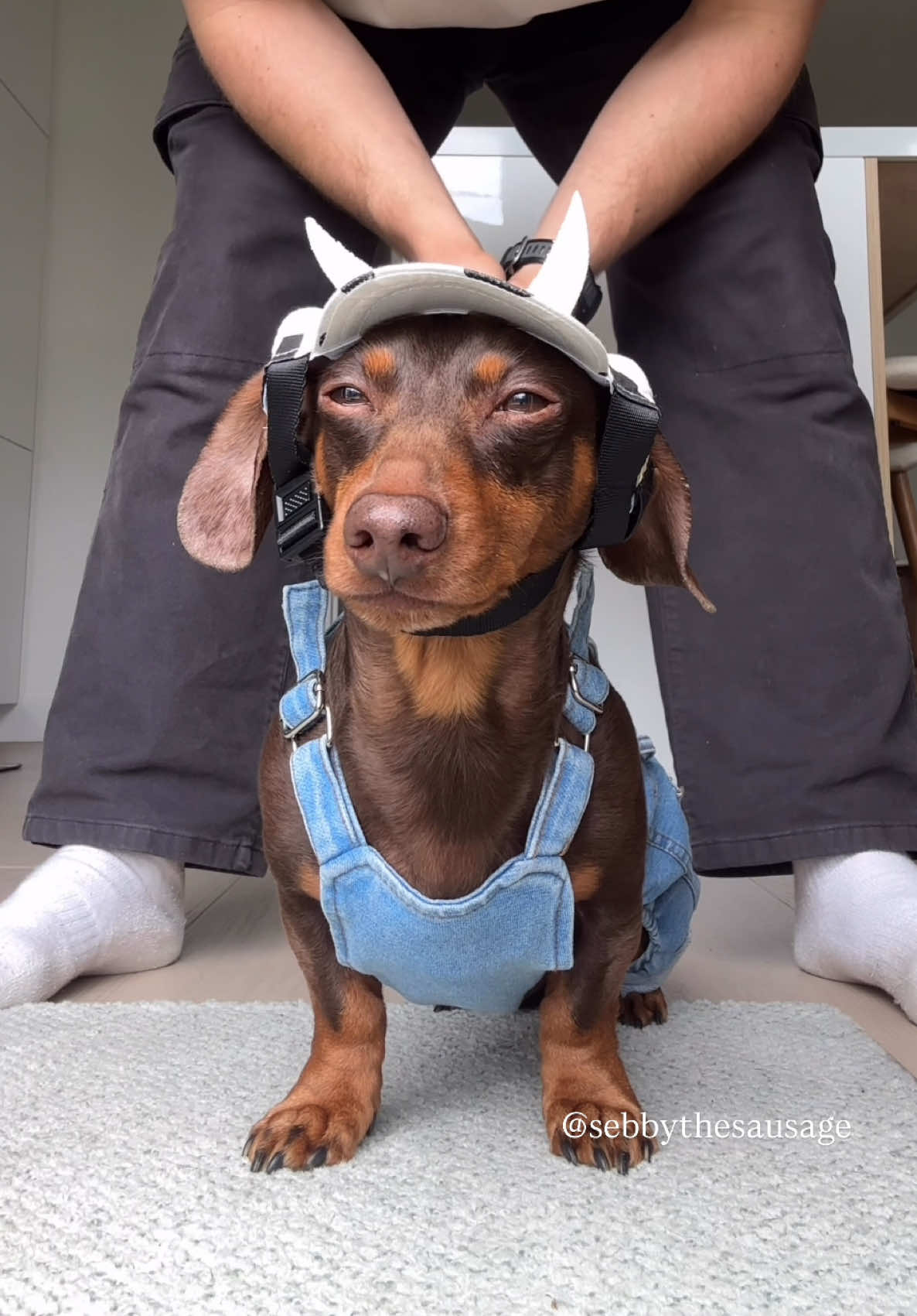 @sebbythesausage