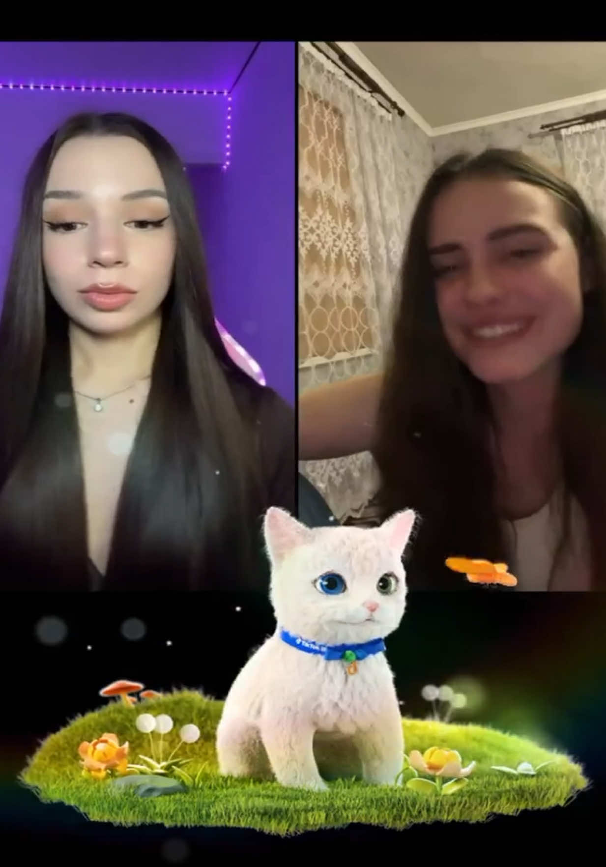 @KUSYA