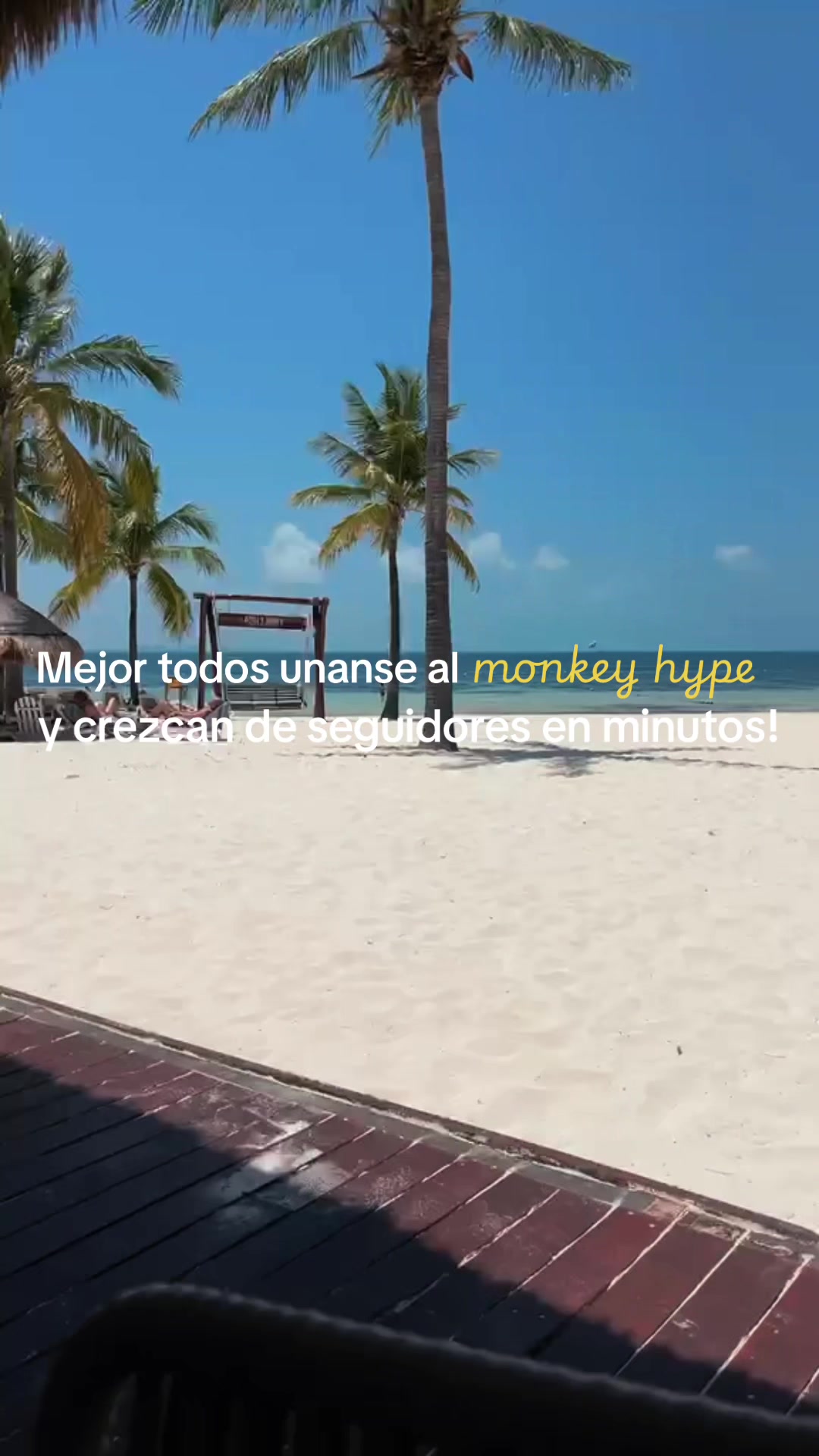 @monkey_hypegroup