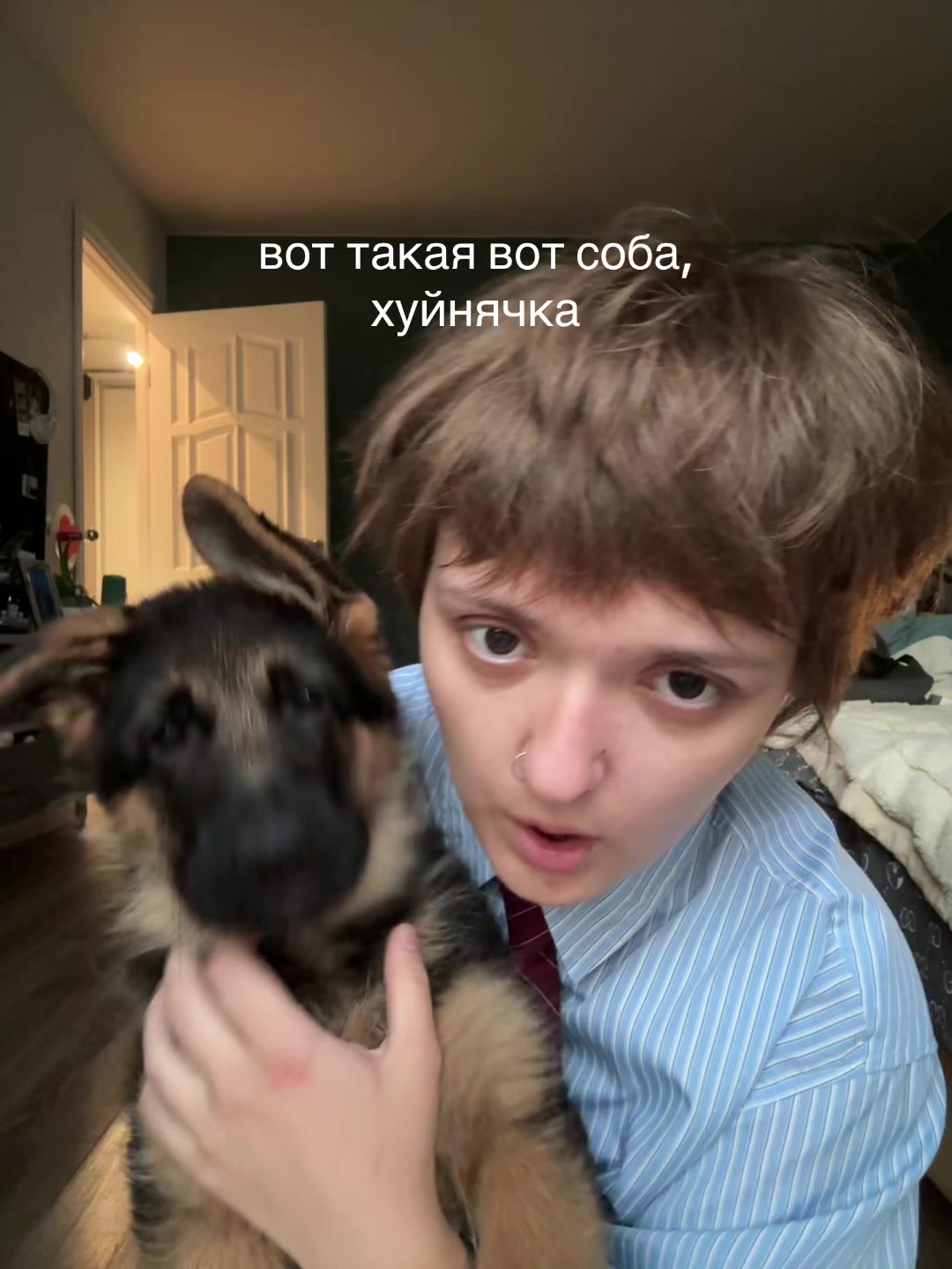 @ADREDASH