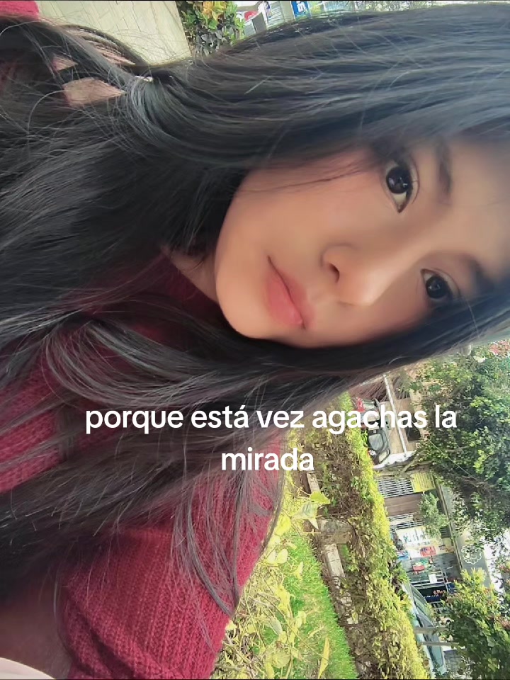 @Nishiratoledo🩷