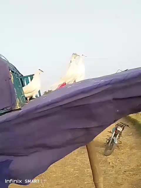 @JAGIRANI