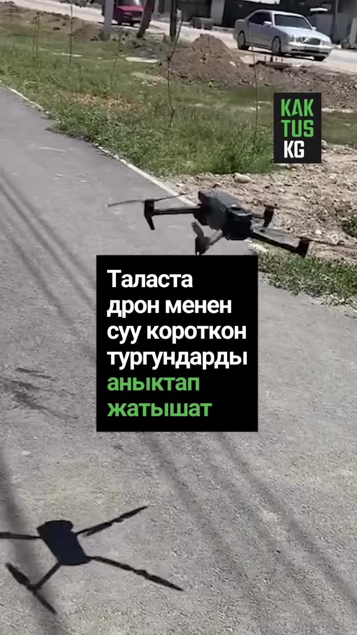 @Kaktus KG