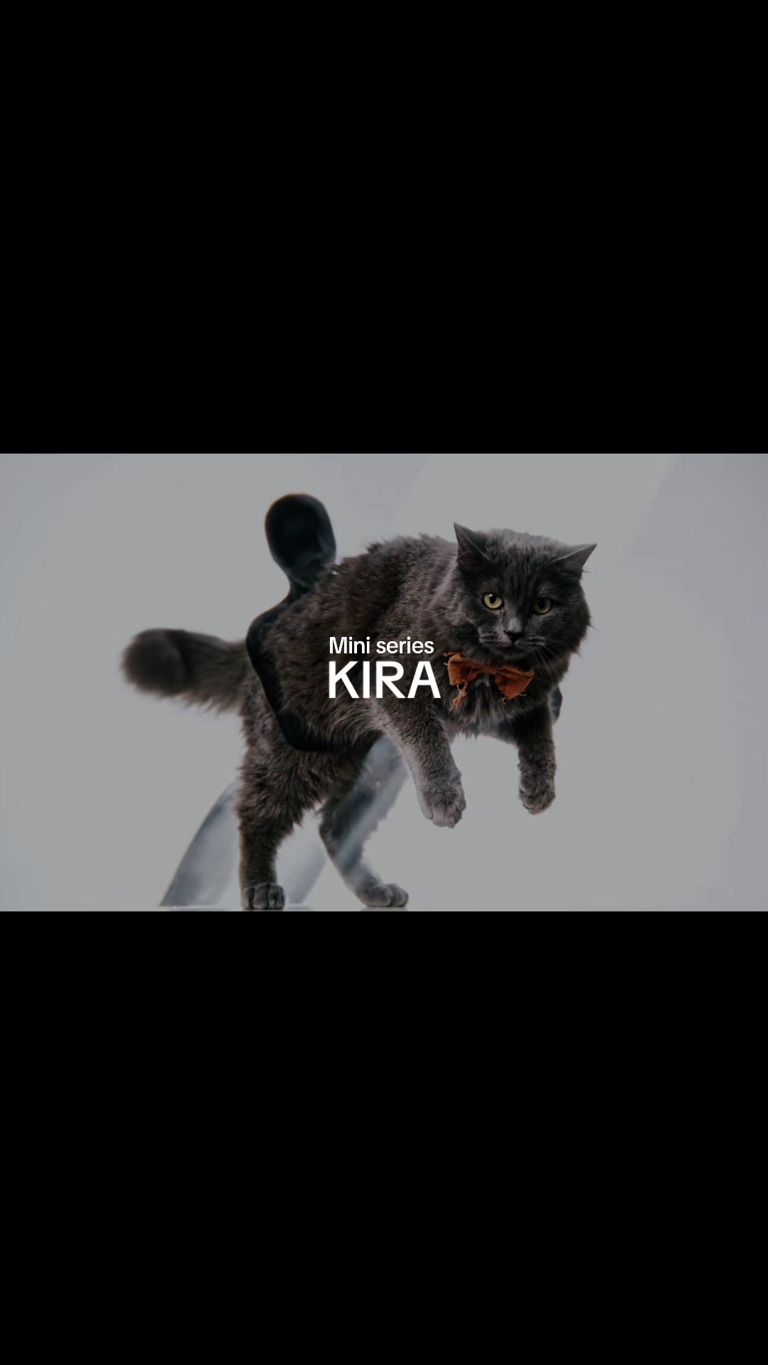 @KIRACAT
