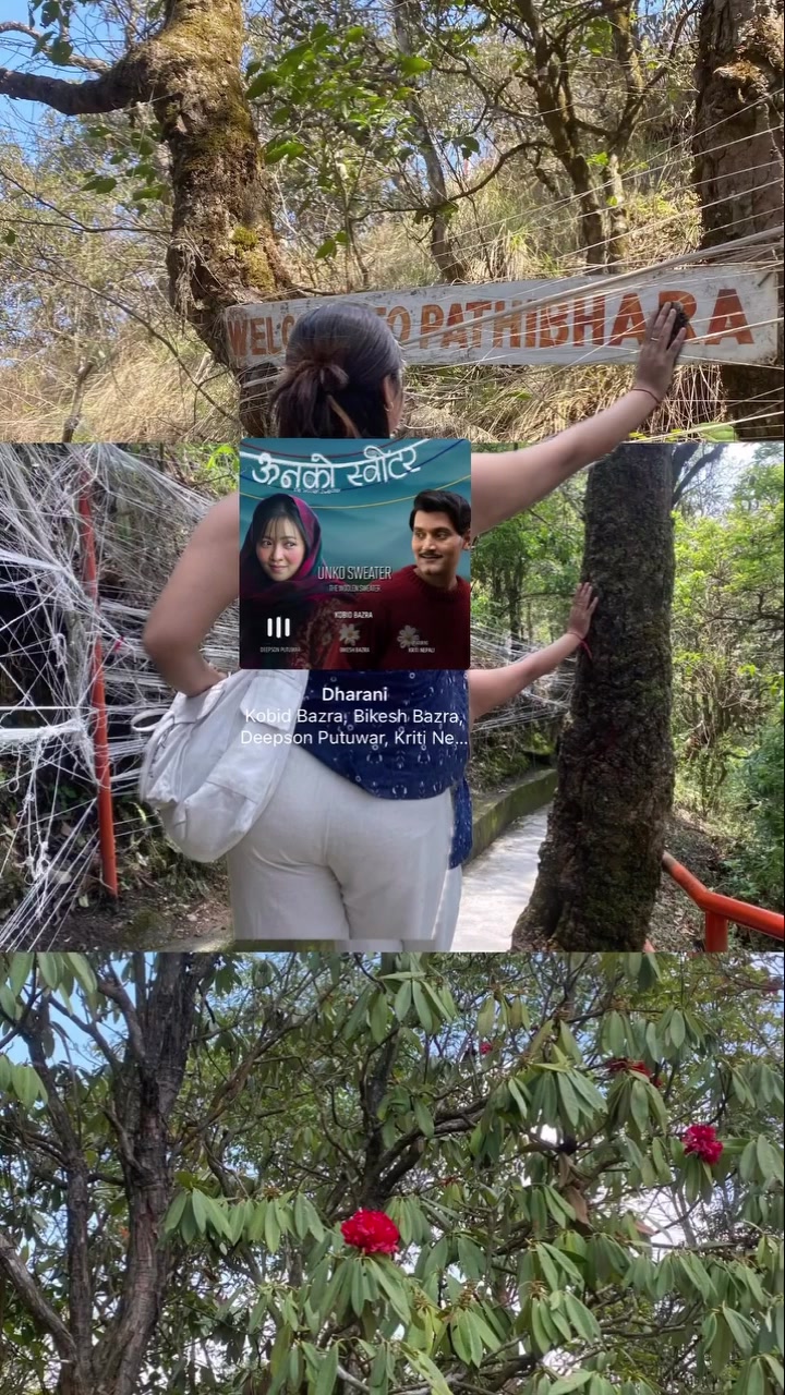 @Rose Rai