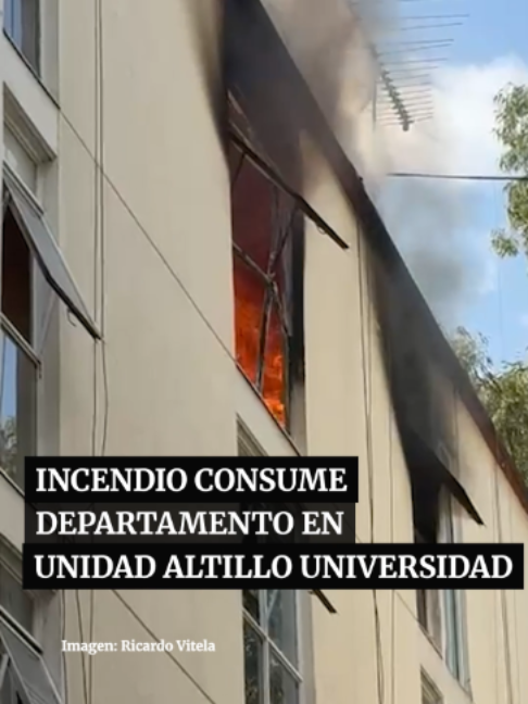@Periódico Excélsior
