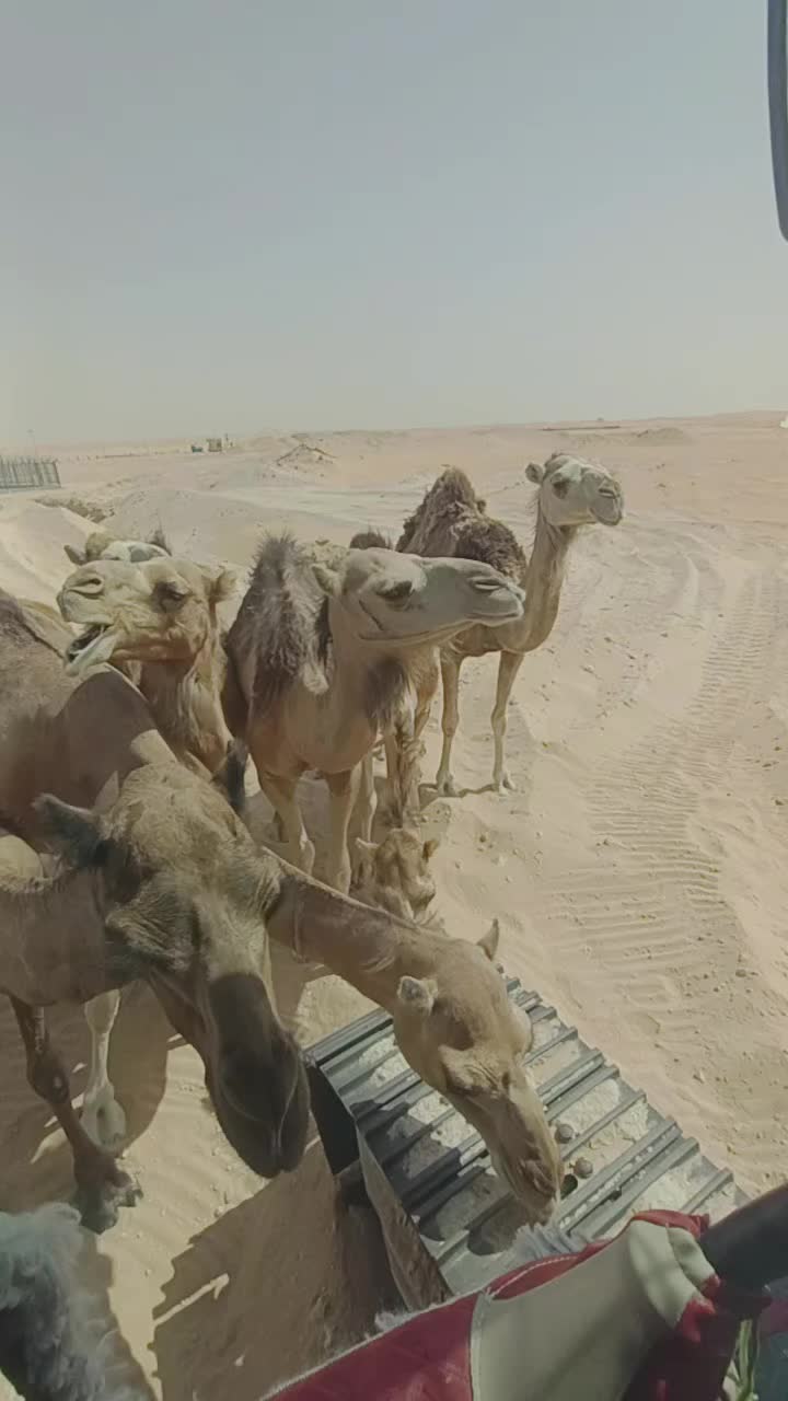 @انس الاسمر