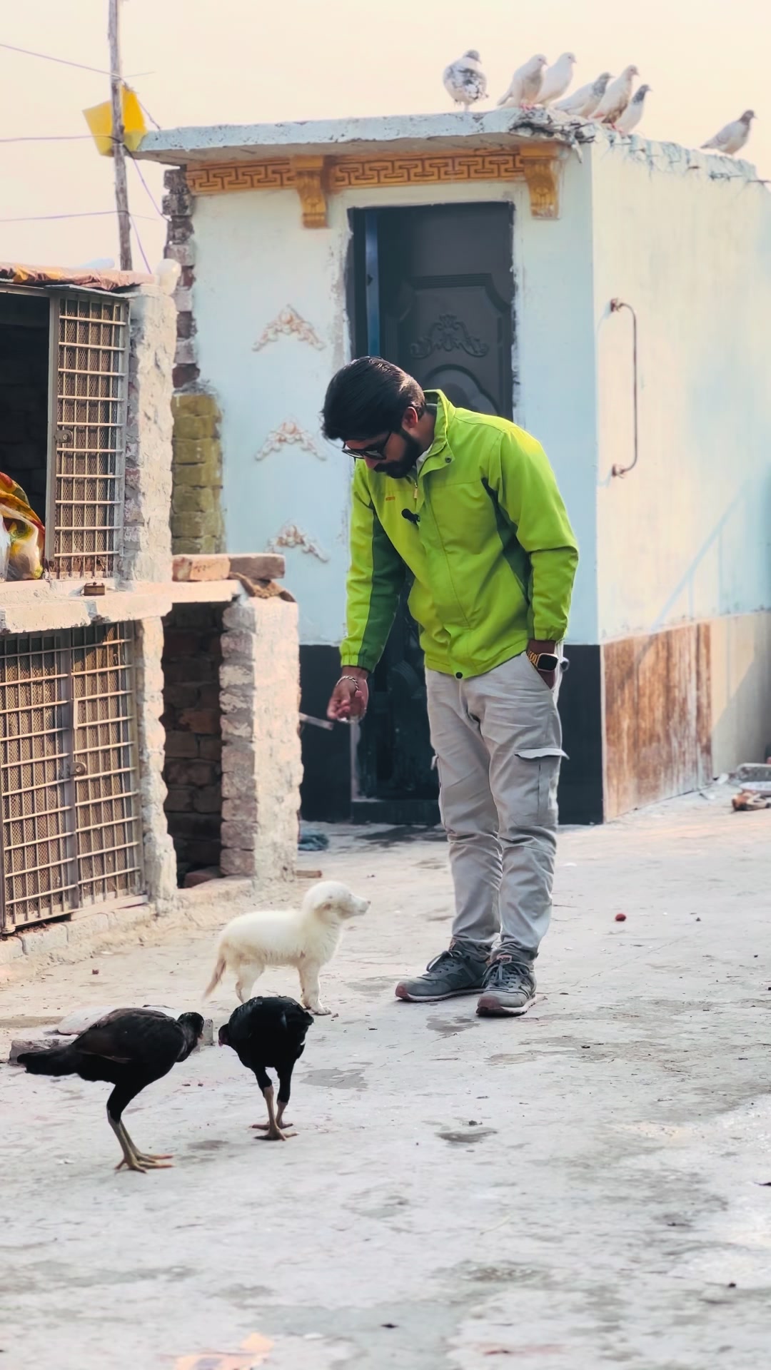 @Malik Shujat Khokhar🦅