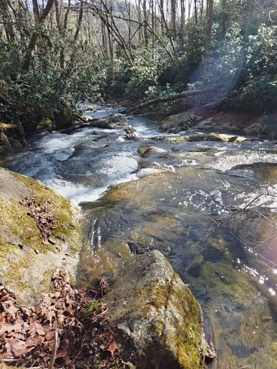 @PA Creek Walker