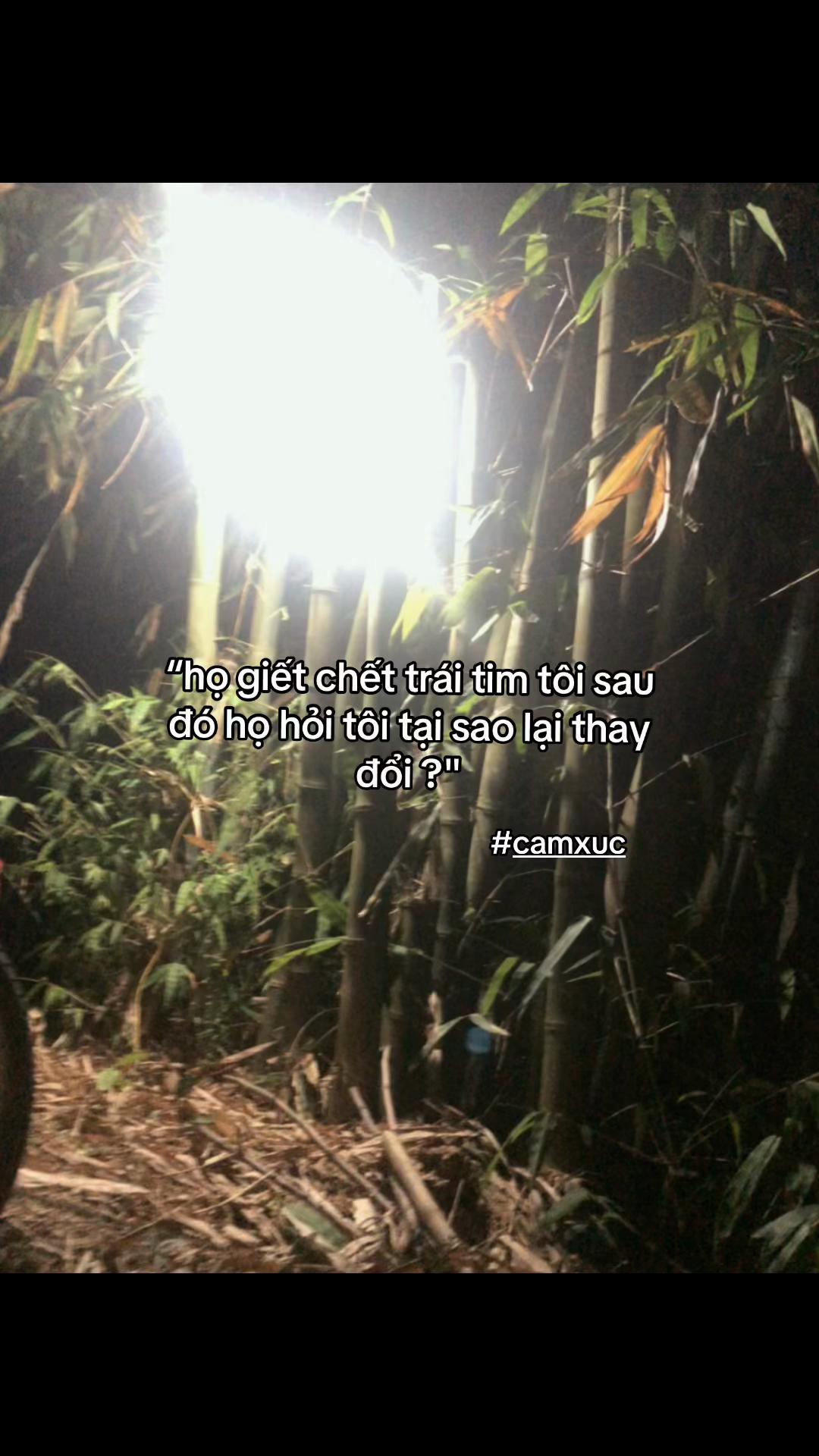 @cảm x&uacute;c