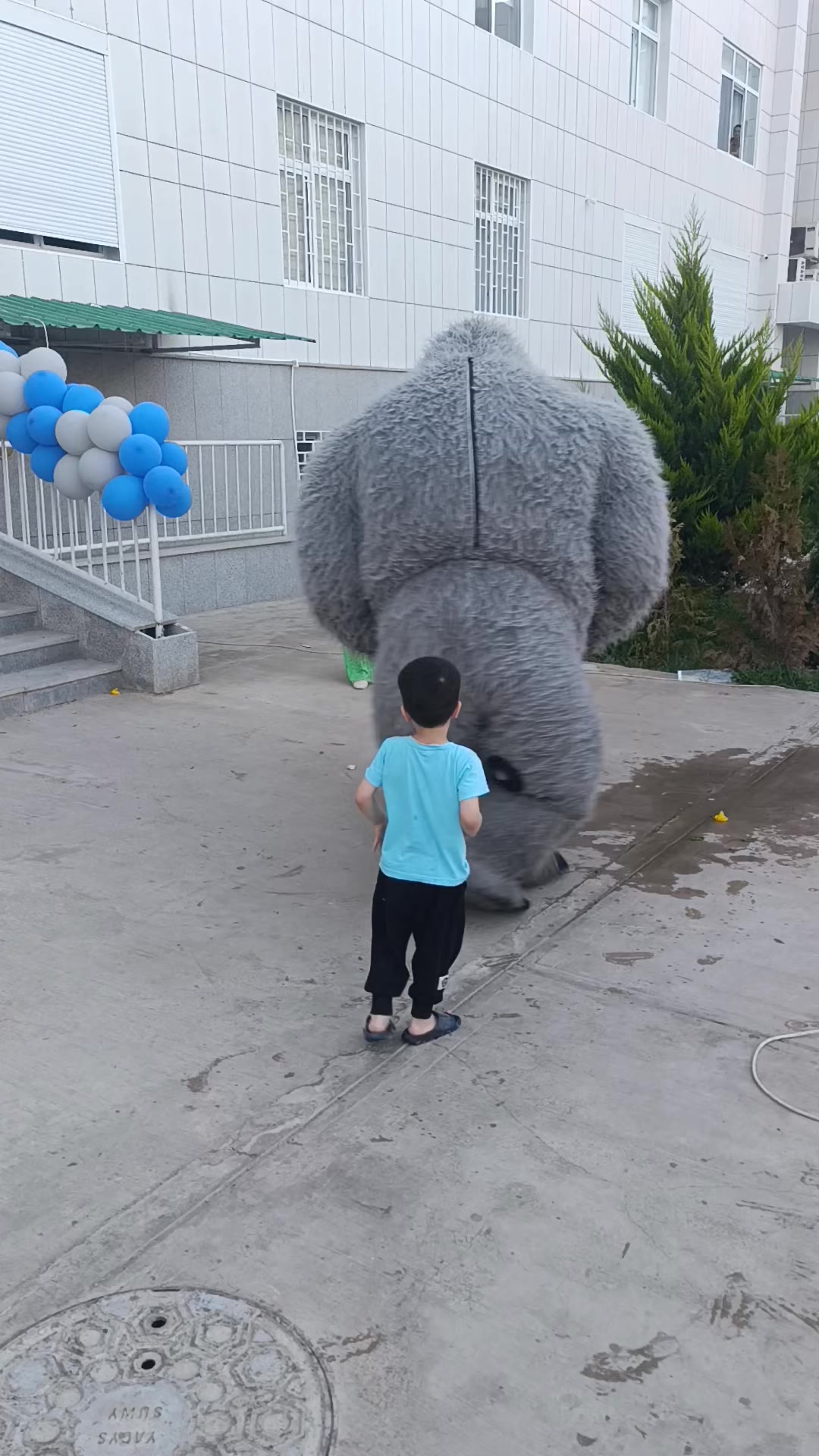 @PANDA SHOW
