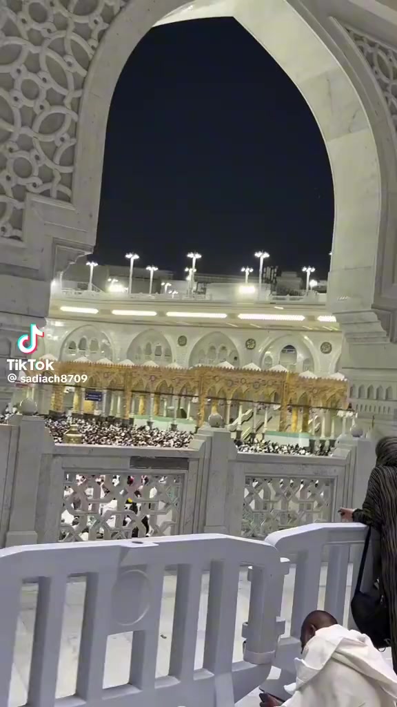 @M Shahid69533