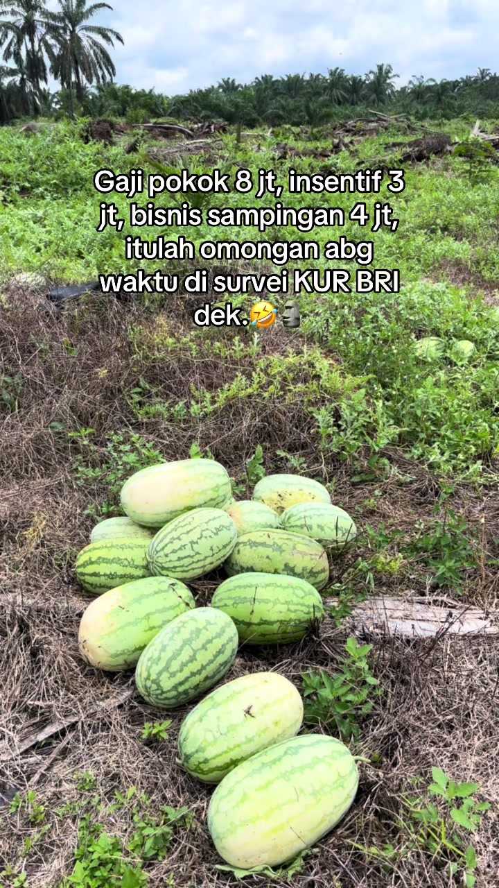 @Burungpuyuh🐦