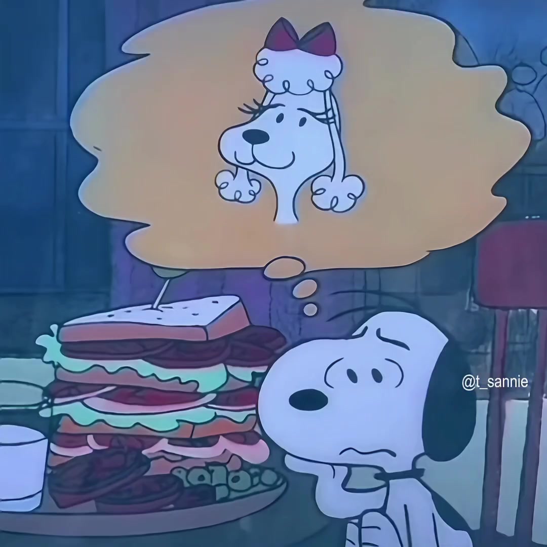 @thvsnoopy_𝜗ৎ