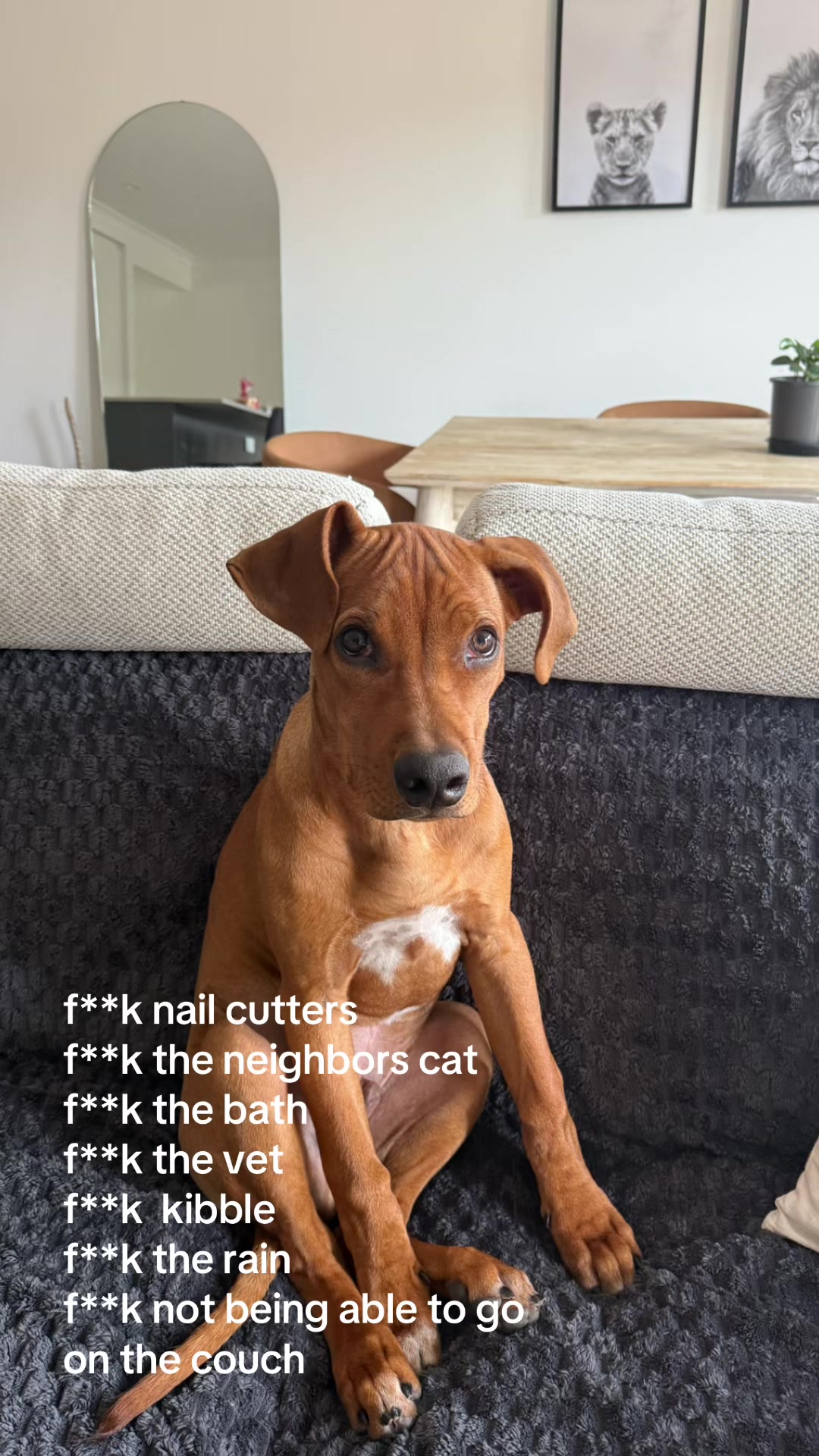 @runningwithrover