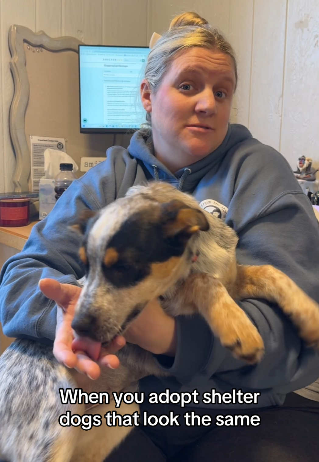 @sftsanimalrescue