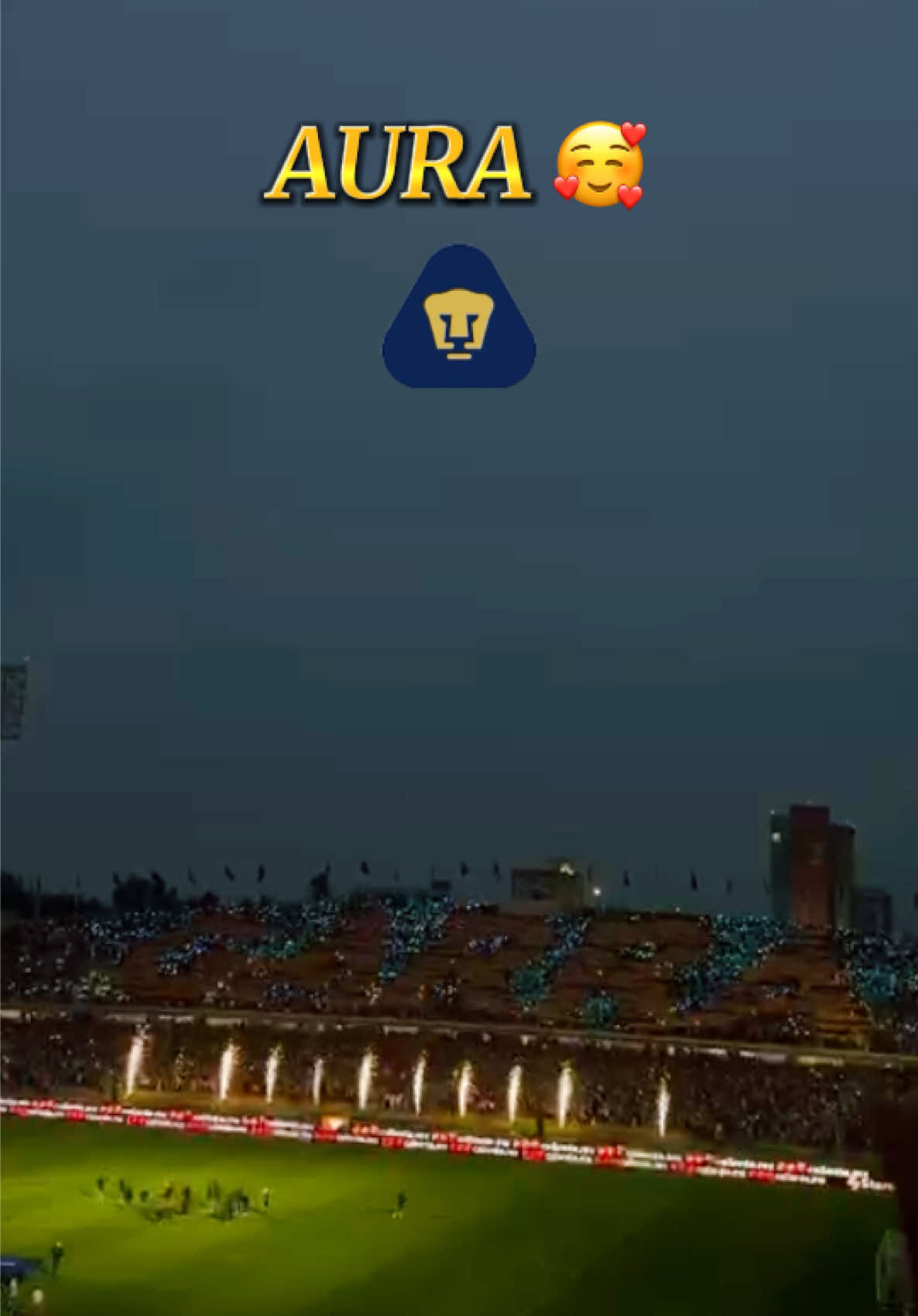 @KevinPalacios