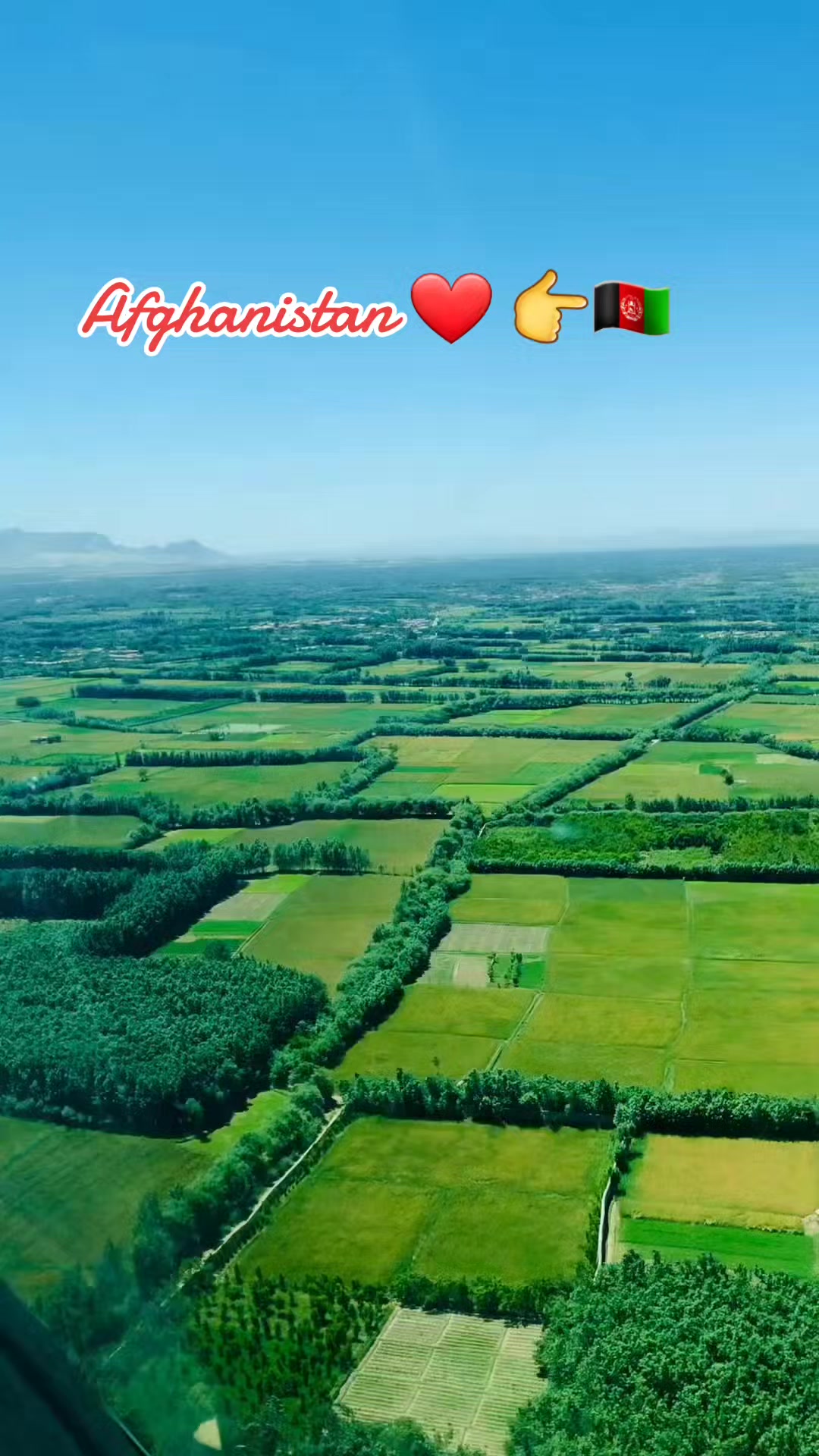 @Tanha Tanha