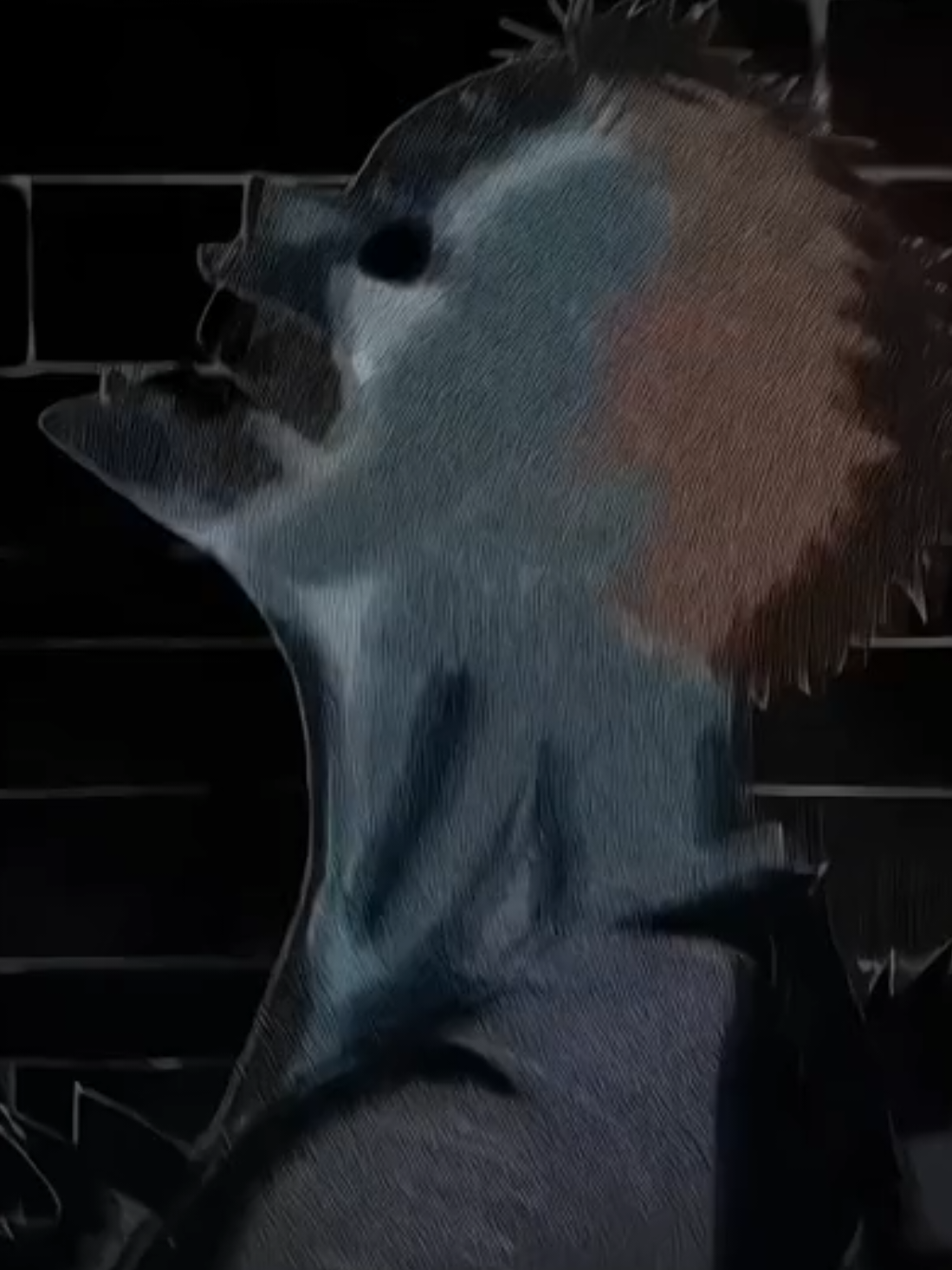 @Shadow