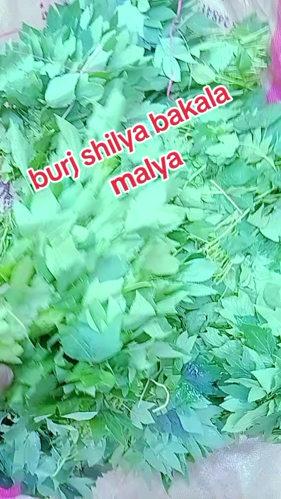 @Josaph 1430
