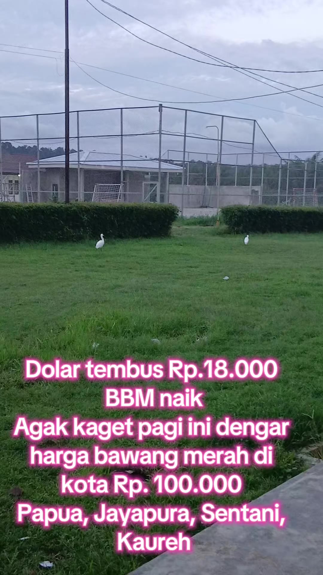@Ristorisna Tampubolon