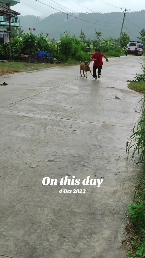 @renukathapa922