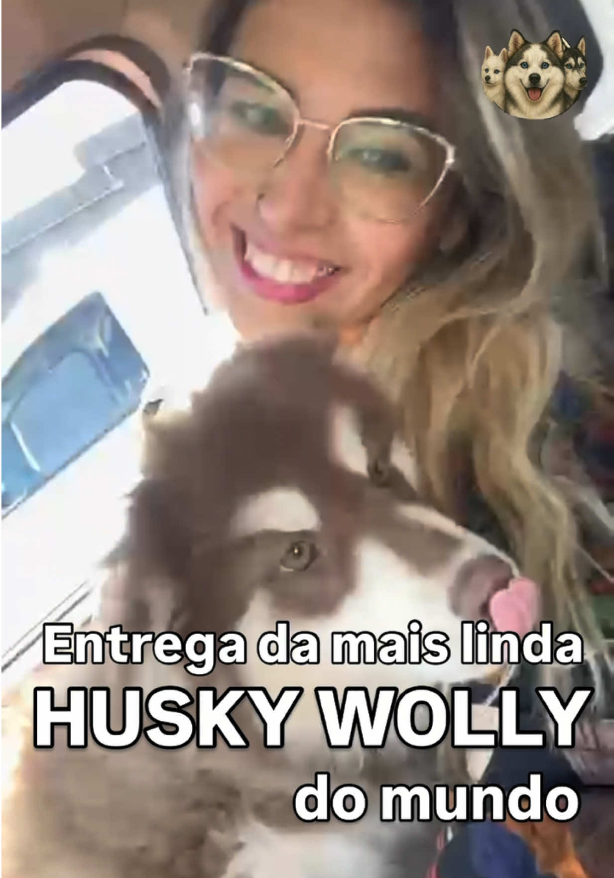 @Brazilian Pomsky