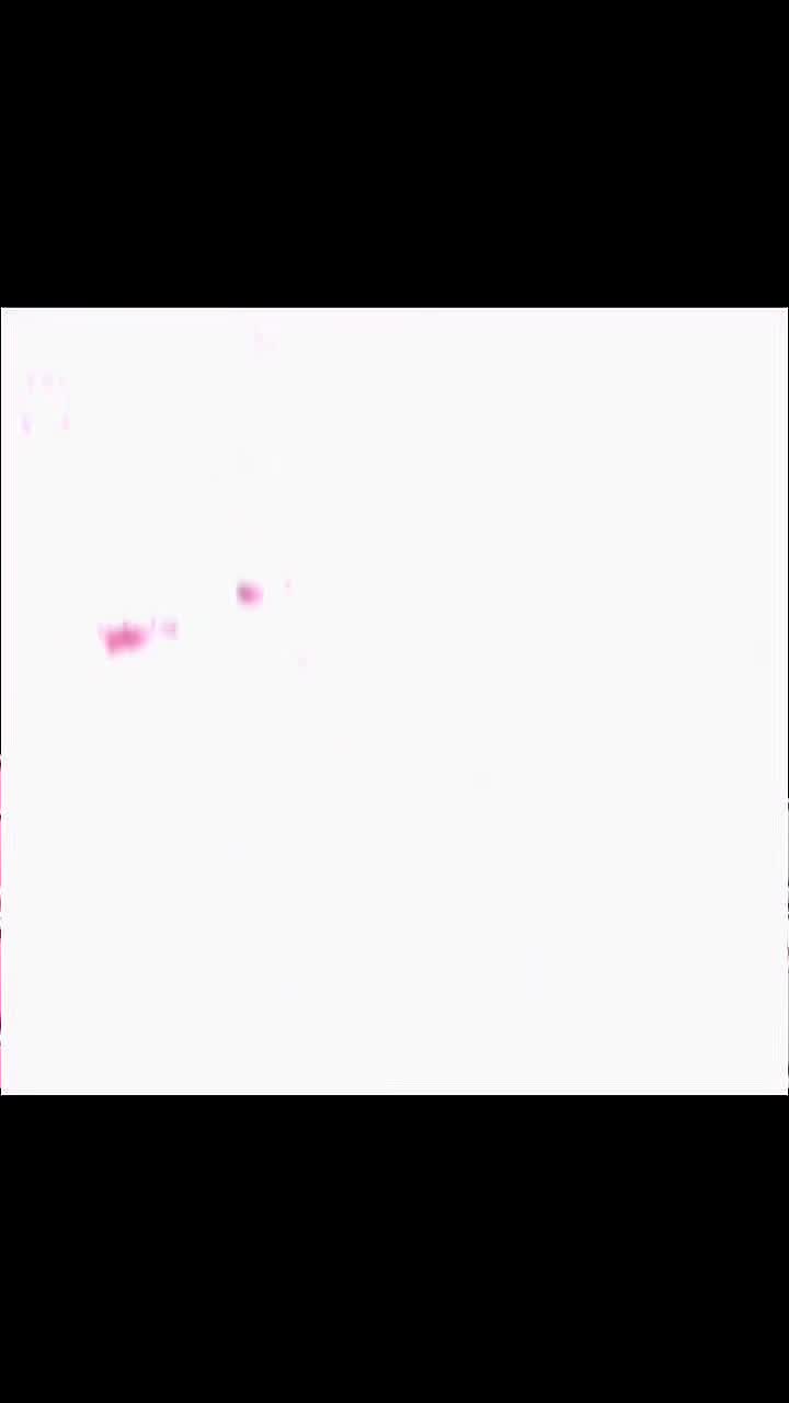 @♡꒰ঌ 𝒜𝓃ℊℯ𝓁 ໒꒱♡