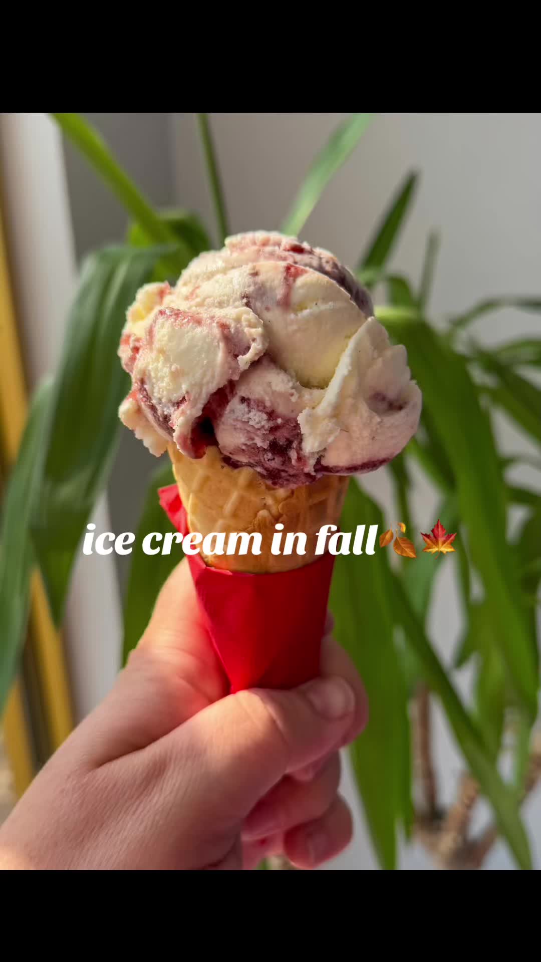@KidSisterIcecream