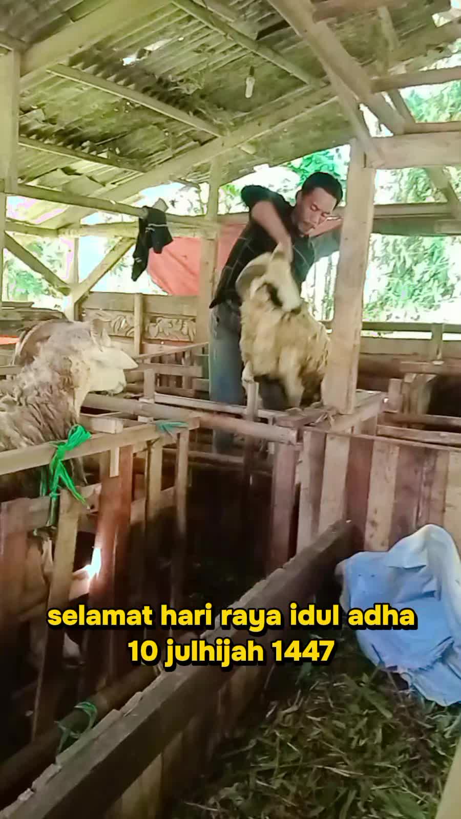 @Ajie