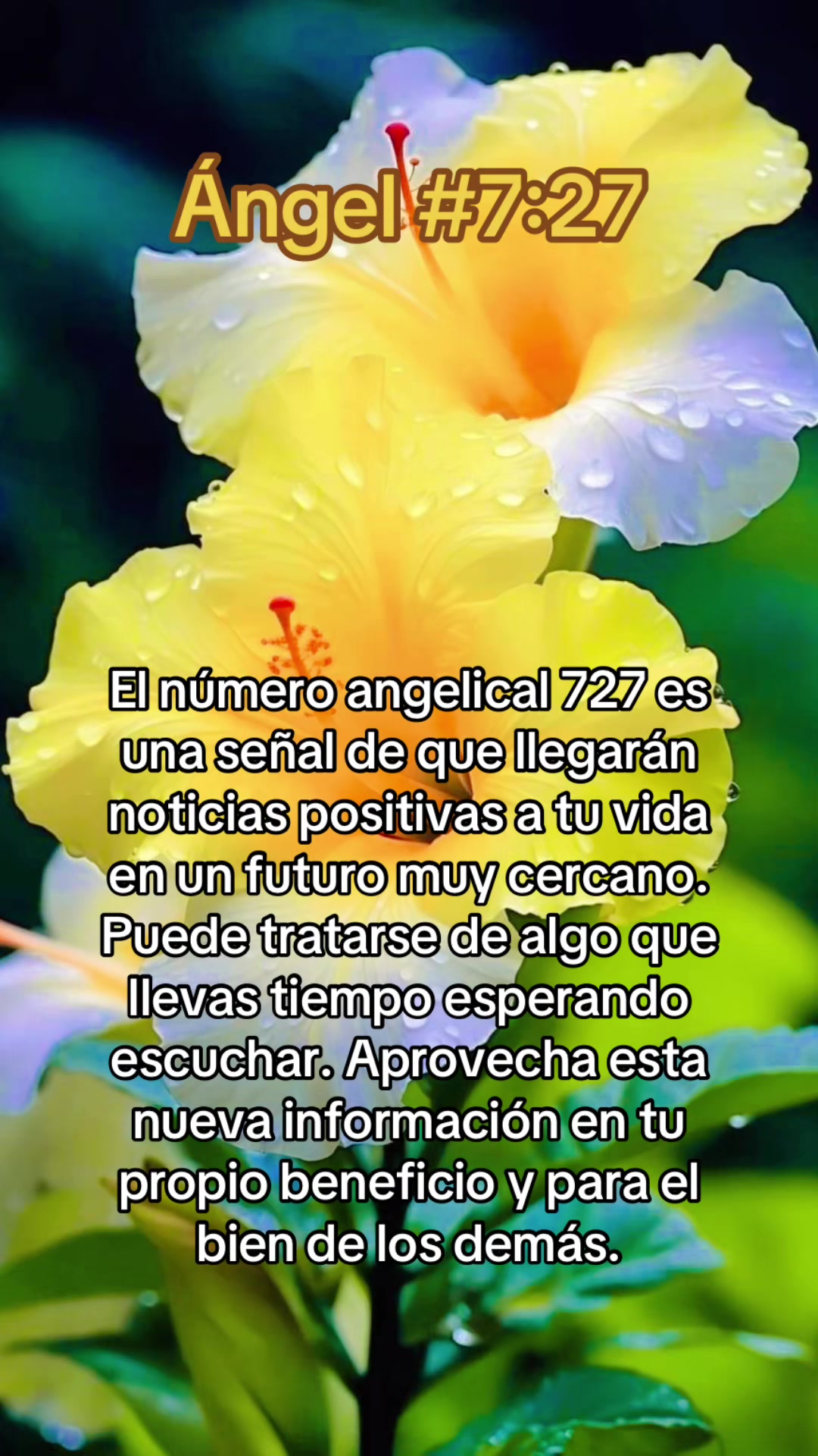 @ᑭOᖇTᗩᒪ Oᖴ EᔕᔕEᑎTIᗩᒪ ᒪIGᕼT