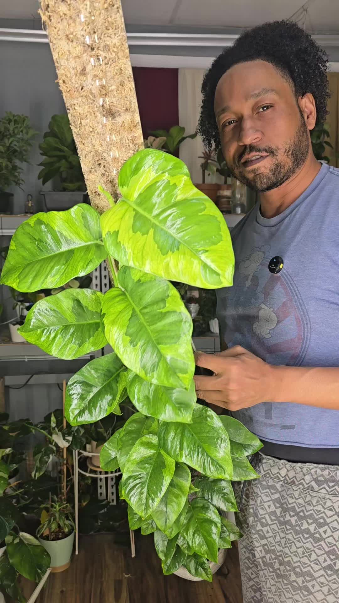 @JT - BigEGOPlants
