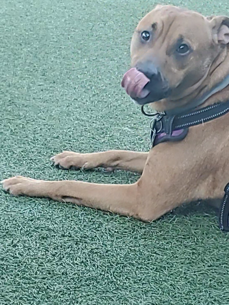 @Kane the friendliest Pit