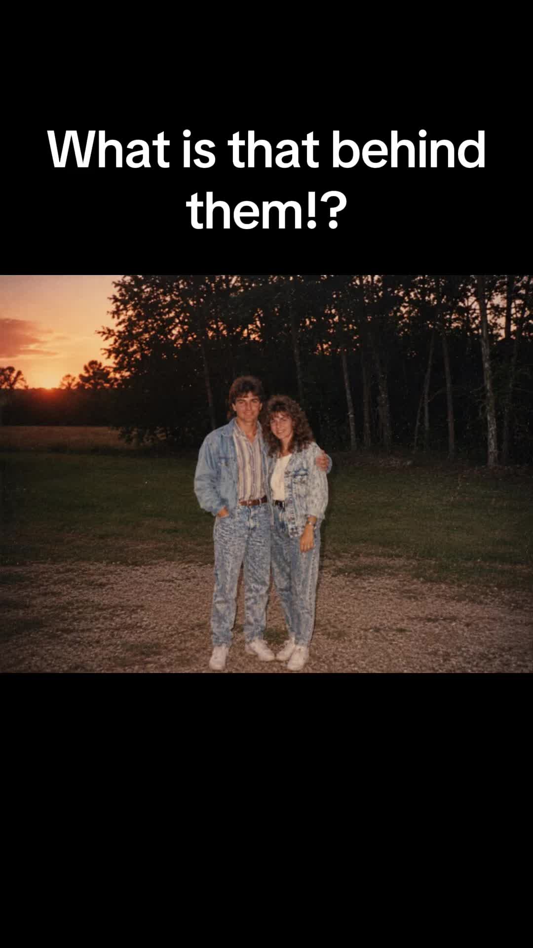@projectnonhuman