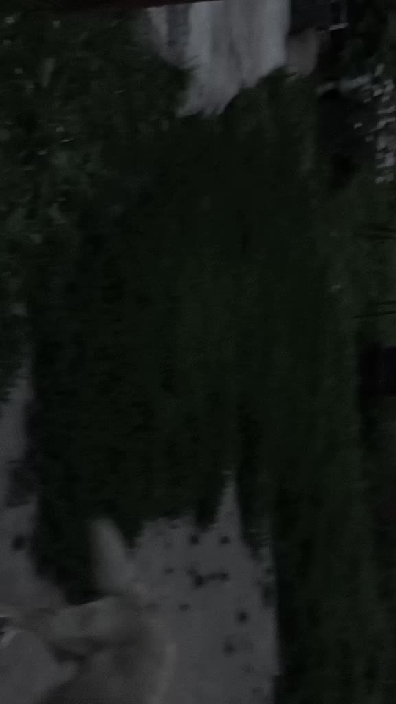 @🕸️💔Demonenok💔🕸️