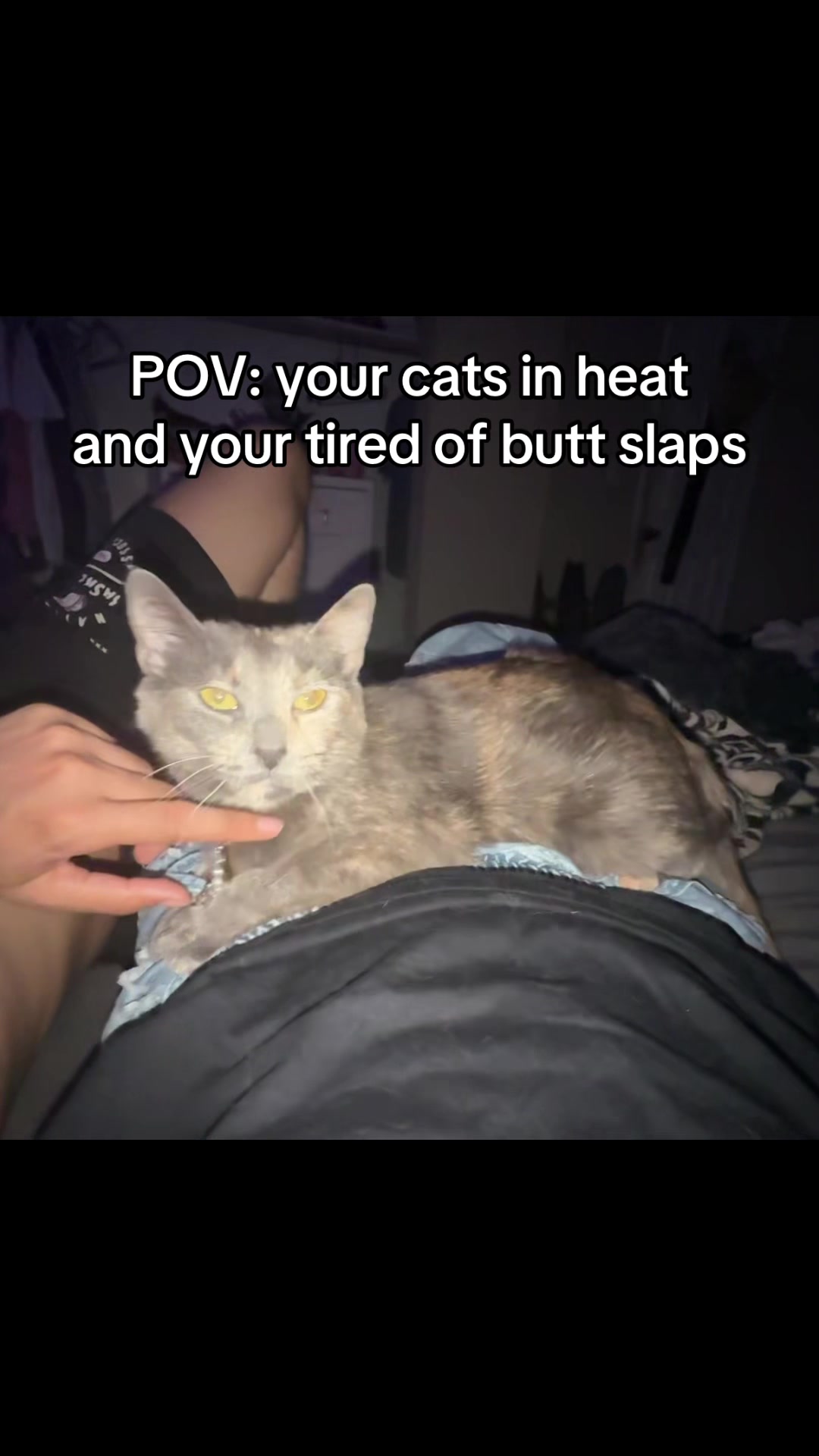 @26bclark3