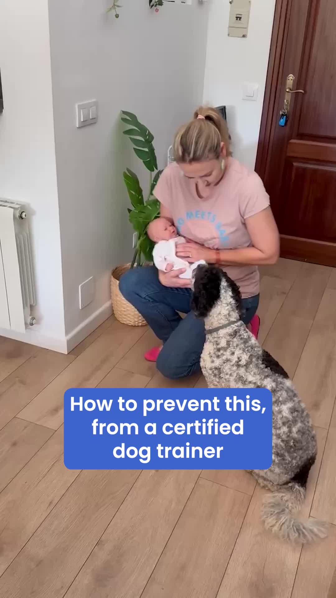 @babycenter