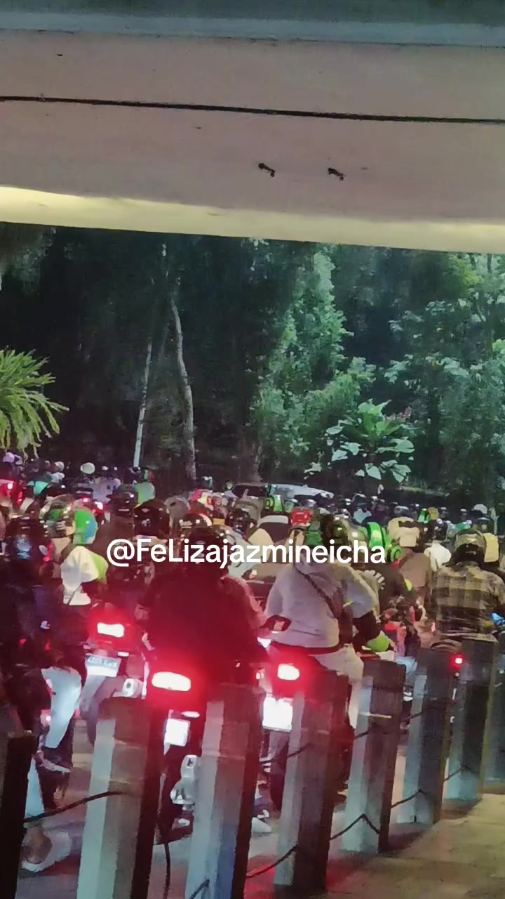 @FeLizaJazmineIcha