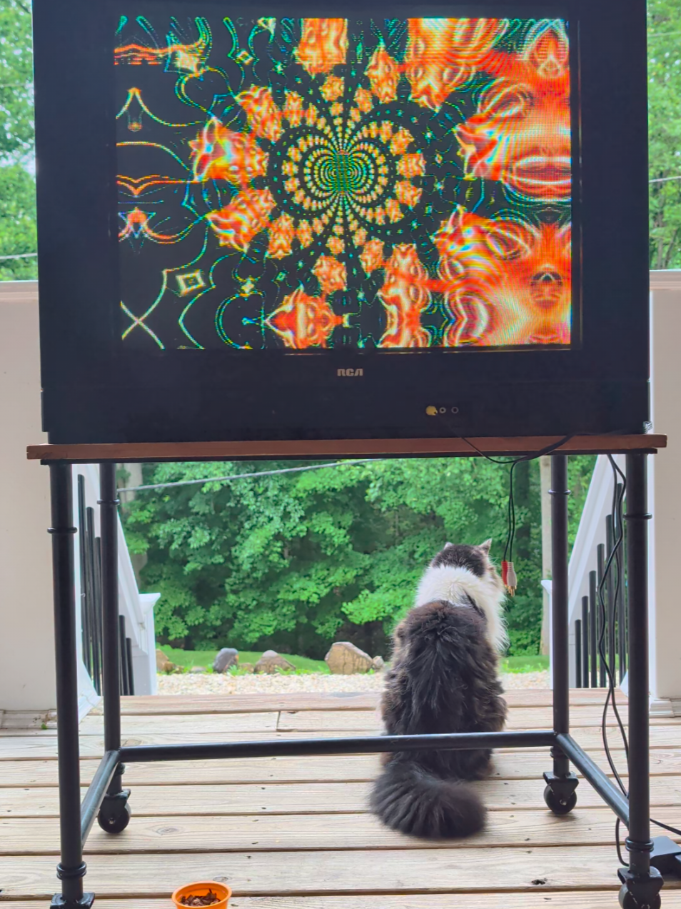 @Digital Introspect Visuals