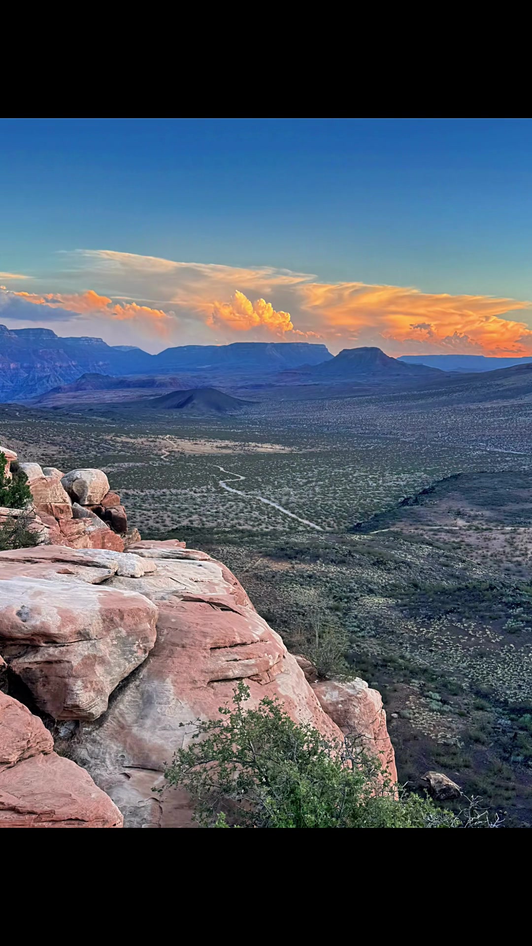 @oldnewdiver